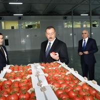 Prezident İlham Əliyev “BAKU AGROPARK”da görülən işlərlə tanış olub FOTOLAR
