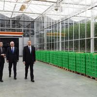 Prezident İlham Əliyev “BAKU AGROPARK”da görülən işlərlə tanış olub FOTOLAR