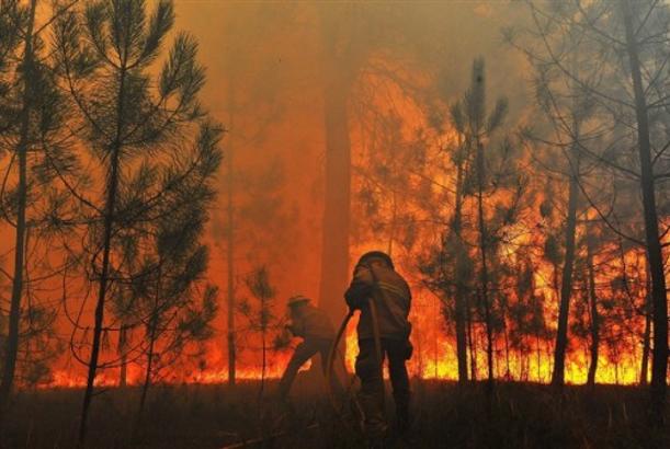 Wildfires start in forests of Azerbaijan's Guba, Shabran districts