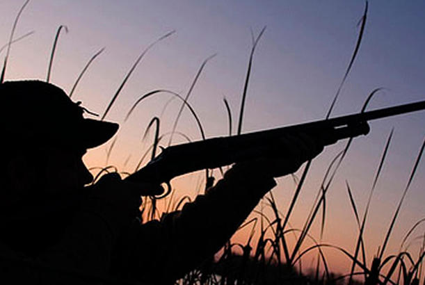 Azərbaycanda ov qaydalarını pozan əcnəbilər saxlanılıb