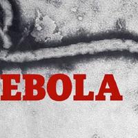 WHO accelerates development of vaccine against new Ebola strain