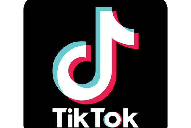 "TikTok"da əxlaqsızlıq yayan şəxs həbs edildi