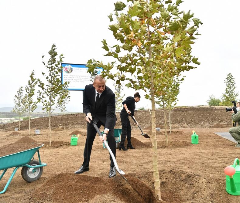 Prezident və xanımı Füzulidə yaradılacaq Mərkəzi Şəhər Parkında ağac əkiblər FOTO