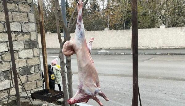 Ət kəsimi məntəqələri: Küçədə kəsilən heyvanlar hansı xəstəlikləri yayır?