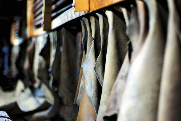 Azərbaycan Türkiyədən dəri idxalına çəkdiyi xərclərini 25 % azaldıb