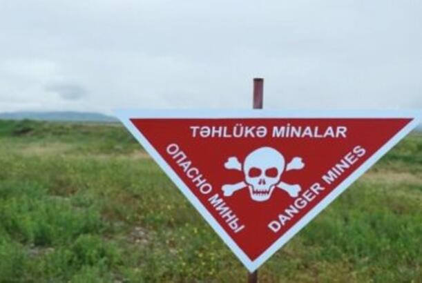 Mines buried by illegal Armenian armed groups discovered on Saribaba heights