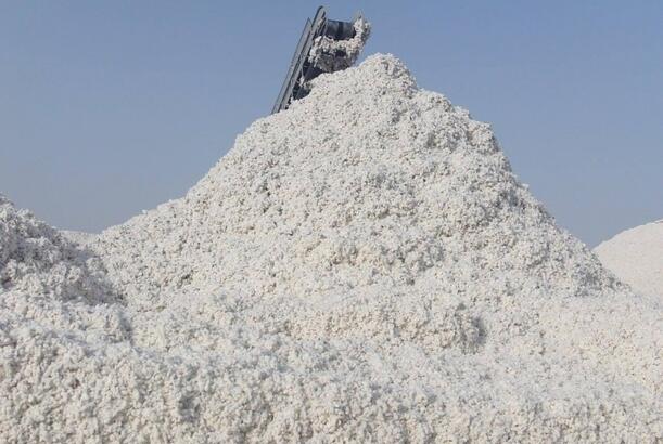 Azərbaycan pambıq ipliyi istehsalını 23 % artırıb