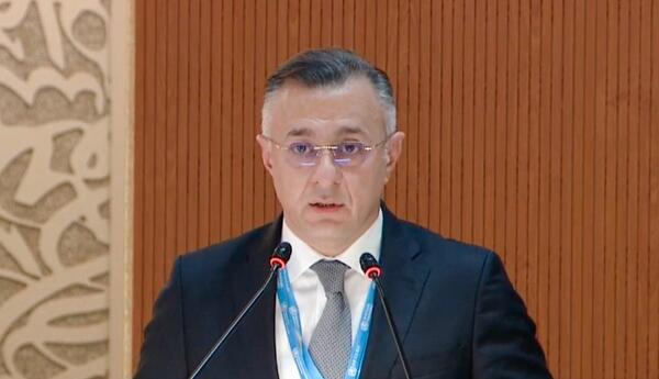 Теймур Мусаев назначен вице-премьером Азербайджана