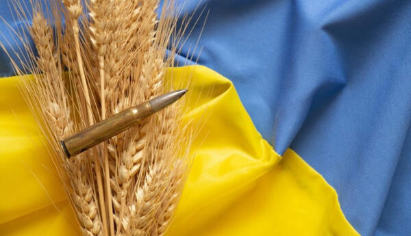 Украина обсуждает с тремя странами организацию зернового коридора