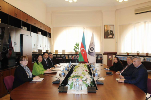 Azerbaijan, Egypt discuss prospects for cooperation