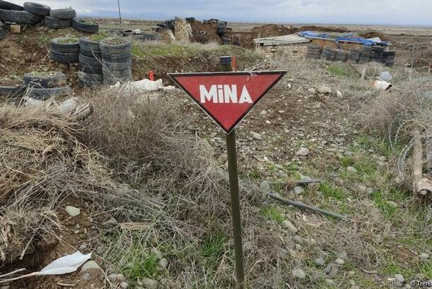 Azad edilmiş ərazilərdə 118,5 min hektar sahə mina və partlamamış hərbi sursatlardan təmizlənib