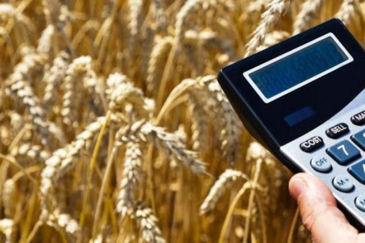 Сельское хозяйство. Гранты фермерам. Субсидии сельское хозяйство. Сельское хозяйство белоруссии. Налог на сельское хозяйство.