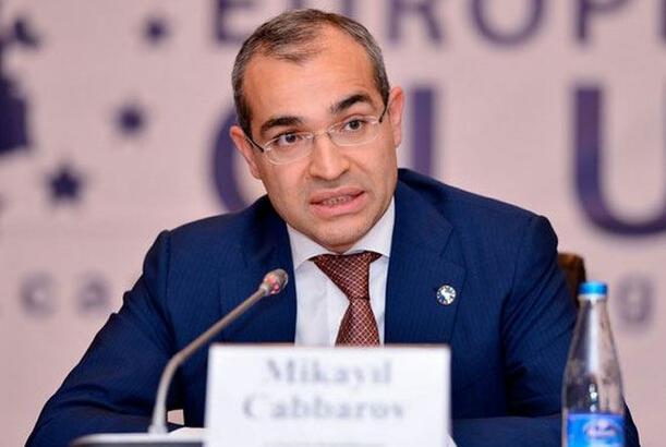 Mikayıl Cabbarov Pəncab əyalətinin baş naziri ilə görüşüb - AÇIQLAMA