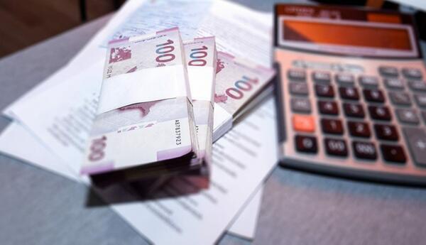 2025-ci ildə dövlət adından yaradılan 44 publik hüquqi şəxsə 968 mln. manat məbləğində vəsait ayrılıb