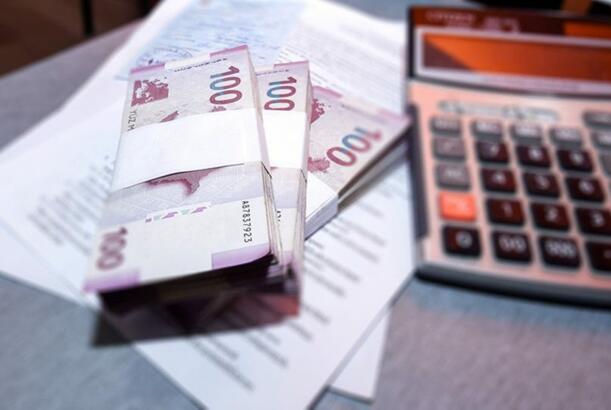 2025-ci ildə dövlət adından yaradılan 44 publik hüquqi şəxsə 968 mln. manat məbləğində vəsait ayrılıb