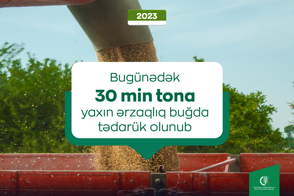 Bu il 30 min tona yaxın ərzaqlıq buğda tədarük olunub