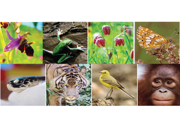 “Beynəlxalq səviyyədə həmrəyliyə və əməli tədbirlərə ehtiyac var” - DEPUTAT DANIŞDI