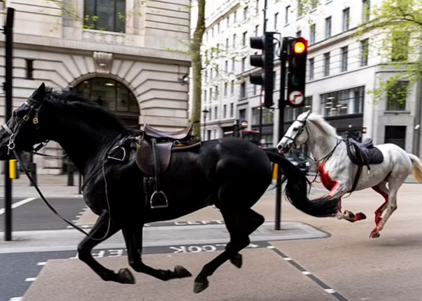 Atlar Londonun mərkəzini xaosa çevirdi