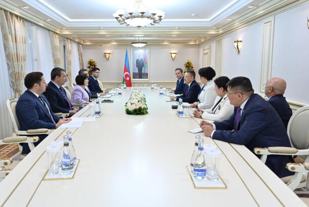 Azerbaijani Speaker meets with Parliamentary Committee Chairs of Turkic States
