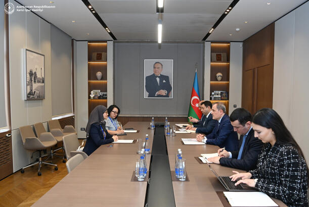 Azerbaijani FM briefs AIPA Secretary General about COP29 preparation process