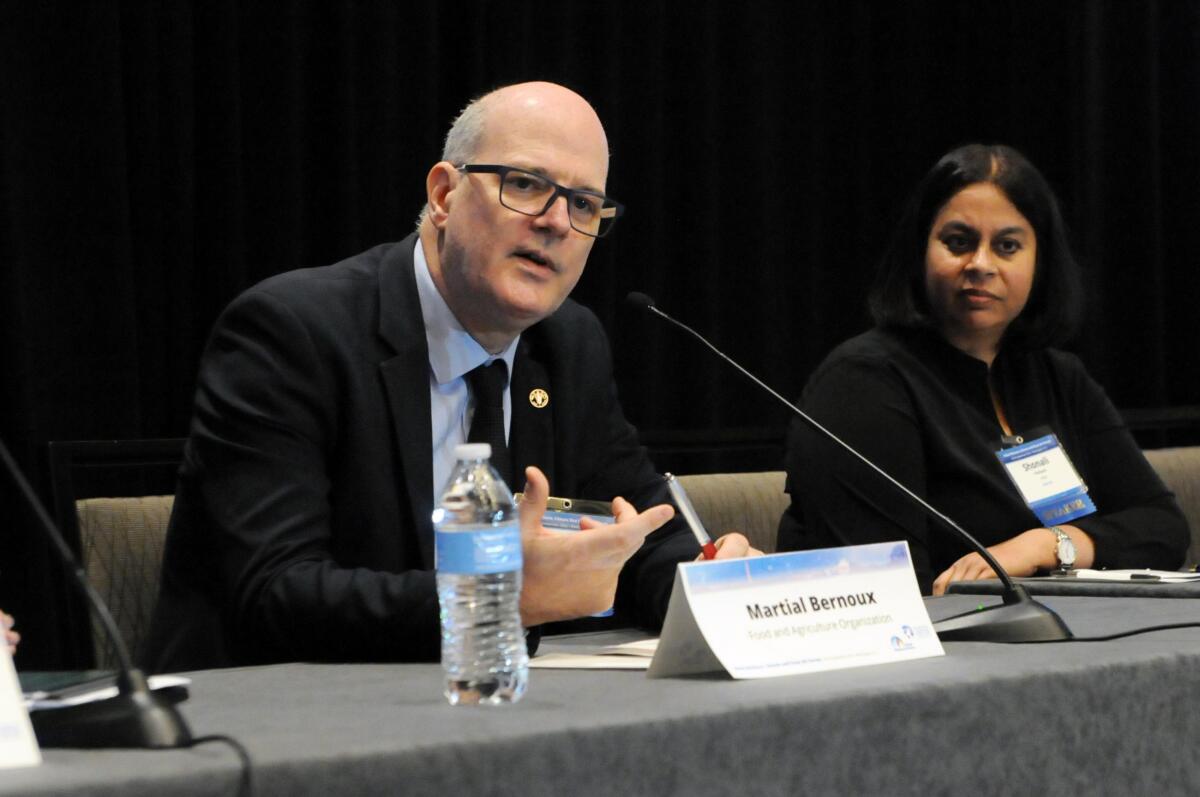 FAO Italian office official: COP29 will bring together different parties