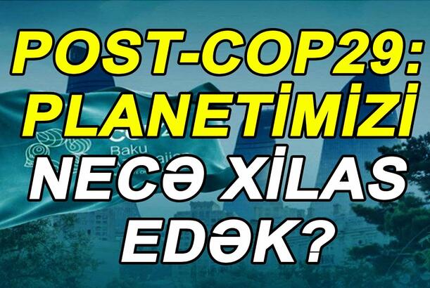 Post-COP29: planetimizi necə xilas edək?