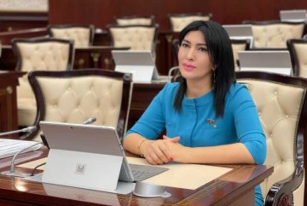 "Prezidentin çıxışı xalqın həmrəyliyini və dövlətin qətiyyətli siyasətinin nəticələrini nümayiş etdirdi" - ŞƏRH EDİLDİ 