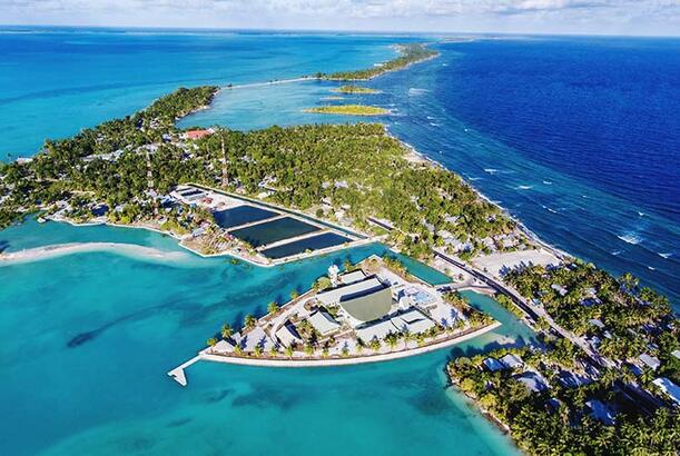 Yeni ili ilk qarşılayan ölkə - Kiribati