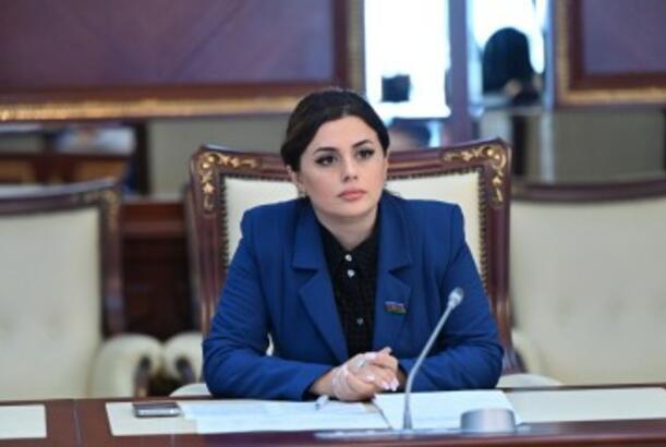 Görüşün Fransanın iştirakı olmadan keçirilməsi Makronu qıcıqlandırır