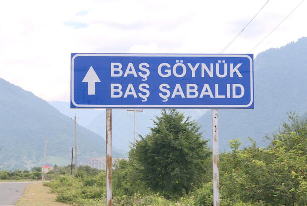 Şəkidə yol qəzası baş verib, bir nəfər ölüb