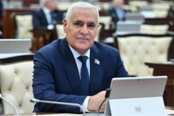 Bu gün Kəngərlinin timsalında yeniləşən Azərbaycanı, bərpa olunan Qarabağı görürük - Vüqar Rəhimzadə