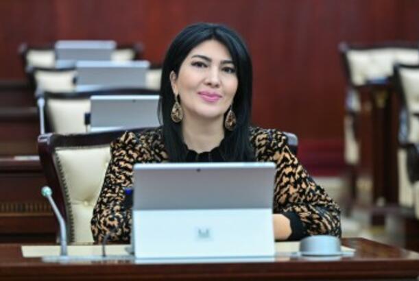 Azərbaycan idmanının uğurlu inkişaf modeli - MƏQALƏ