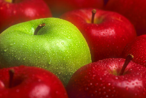 Azərbaycan son 5 ildə alma ixracını 2 dəfə artırıb