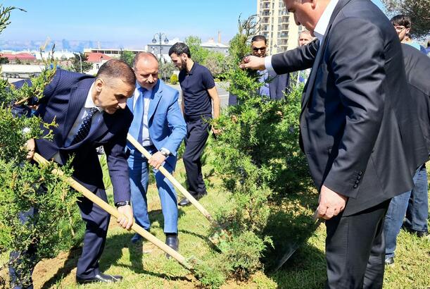Ulu Öndərin 102-ci ildönümü münasibətilə ağacəkmə kampaniyası keçirilib - FOTOLAR 