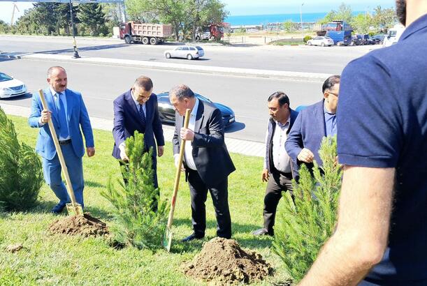 Ümummilli Liderin 102-ci ildönümünə həsr olunmuş ağacəkmə aksiyası keçirilib - YENİLƏNİB/ FOTOLAR