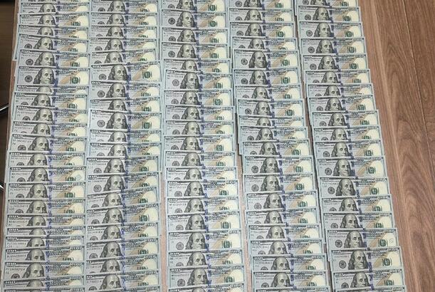 Naxçıvanda evdən 22 min dollar oğurlayan şəxslər saxlanılıblar