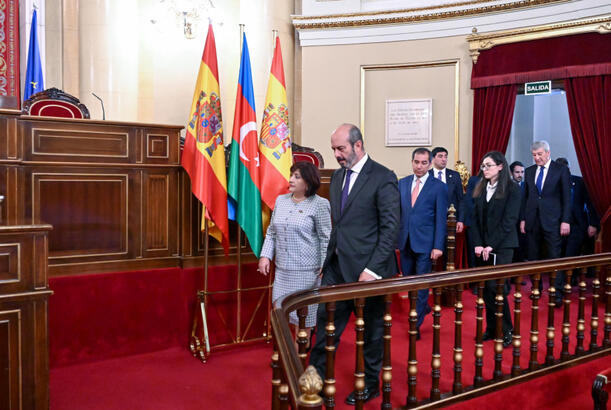 Milli Məclisin sədri İspaniya Krallığı Senatının sədri ilə görüşüb