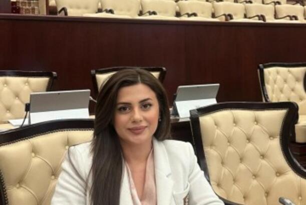 "Azərbaycan-Slovakiya münasibətləri uzunmüddətli əməkdaşlıq üzərində qurulub" - MƏQALƏ