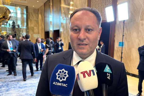 Ziya Öztürkler: Bizə ən böyük dəstəyi Türkiyə və Azərbaycan göstərir