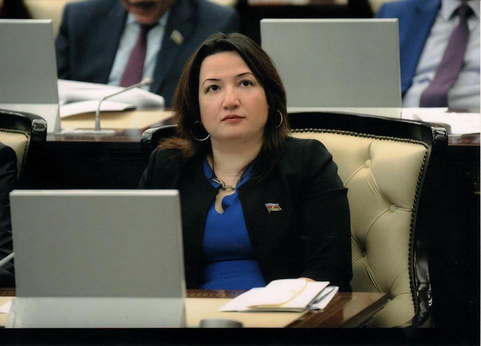 Sərəncam Əcəmi Naxçıvaninin yaradıcılığına göstərilən diqqətin bariz nümunəsidir ŞƏRH EDİLDİ