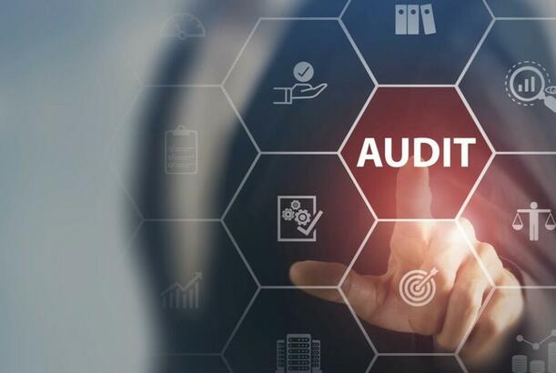 Dövlət Ehtiyatları Agentliyi auditor seçir
