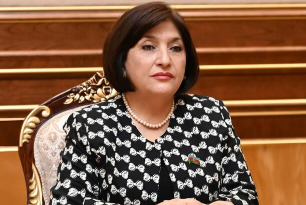 “Beynəlxalq əməkdaşlıq Azərbaycanın qlobal mövqeyini gücləndirir” - SƏDR 