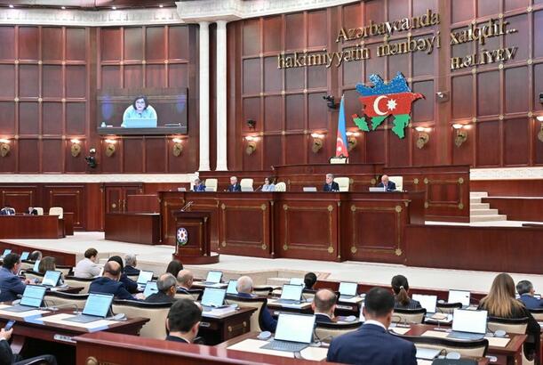 Milli Məclisin plenar iclası başlayıb