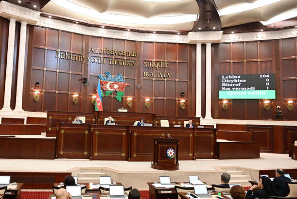 Milli Məclisin plenar iclasında 22 məsələ müzakirə edilib