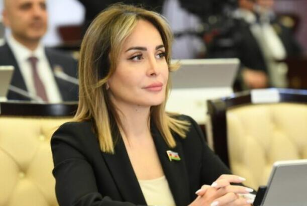 “İƏT-in 17-ci zirvə görüşü sülh və inkişafın bünövrəsinin iqtisadi əməkdaşlığa söykəndiyini təsdiqlədi” - ŞƏRH EDİLDİ