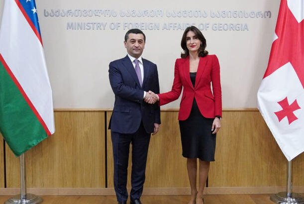 Gürcüstan və Özbəkistan XİN başçıları regional təhlükəsizlik məsələlərini müzakirə ediblər