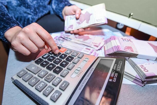 Naxçıvanda I yarımildə 145 min manatlıq kənd təsərrüfatı məhsulu istehsal olunub