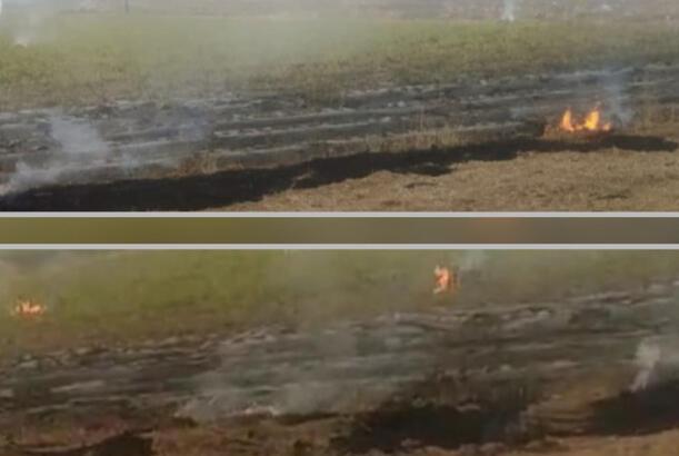 Cəlilabadda yanğın törədən şəxslər məsuliyyətə cəlb olunublar