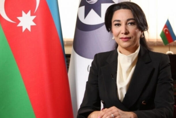 Ombudsman məhkəmələrdə tərcüməçilik edən şəxslərə ödənilən vəsaitin artırılmasını təklif edir