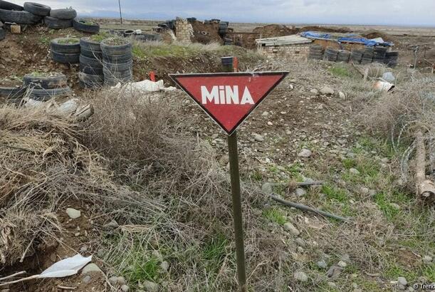 Həlak olan minatəmizləyənlərin övladlarının təhsil haqqını dövlət ödəyəcək